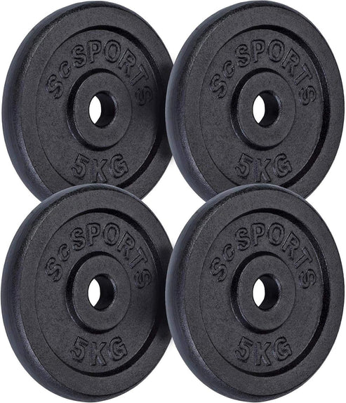 Ketaus svorių diskų rinkinys 30/31 mm 10–40 kg