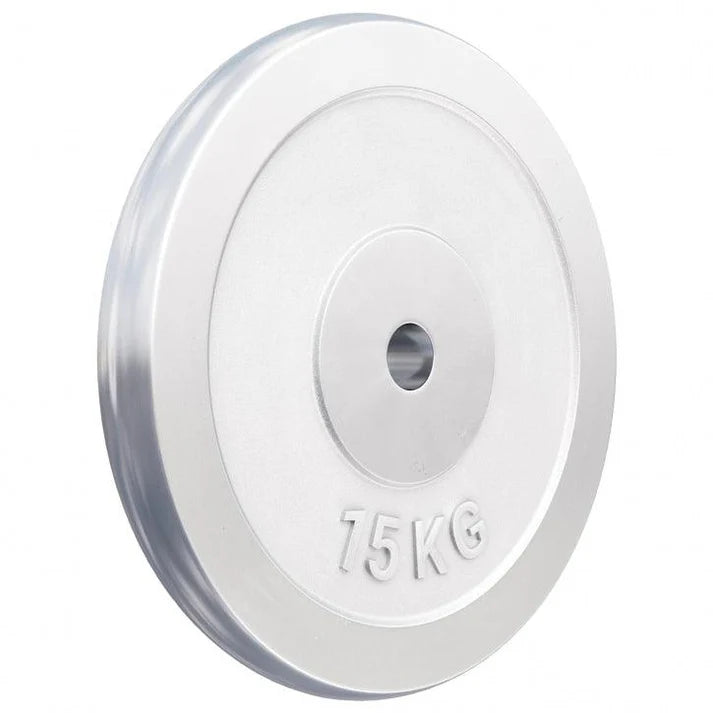 Chromuotas svorio diskas 15 kg 30 mm