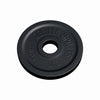 Ketaus svorio diskas 5 kg 50 mm