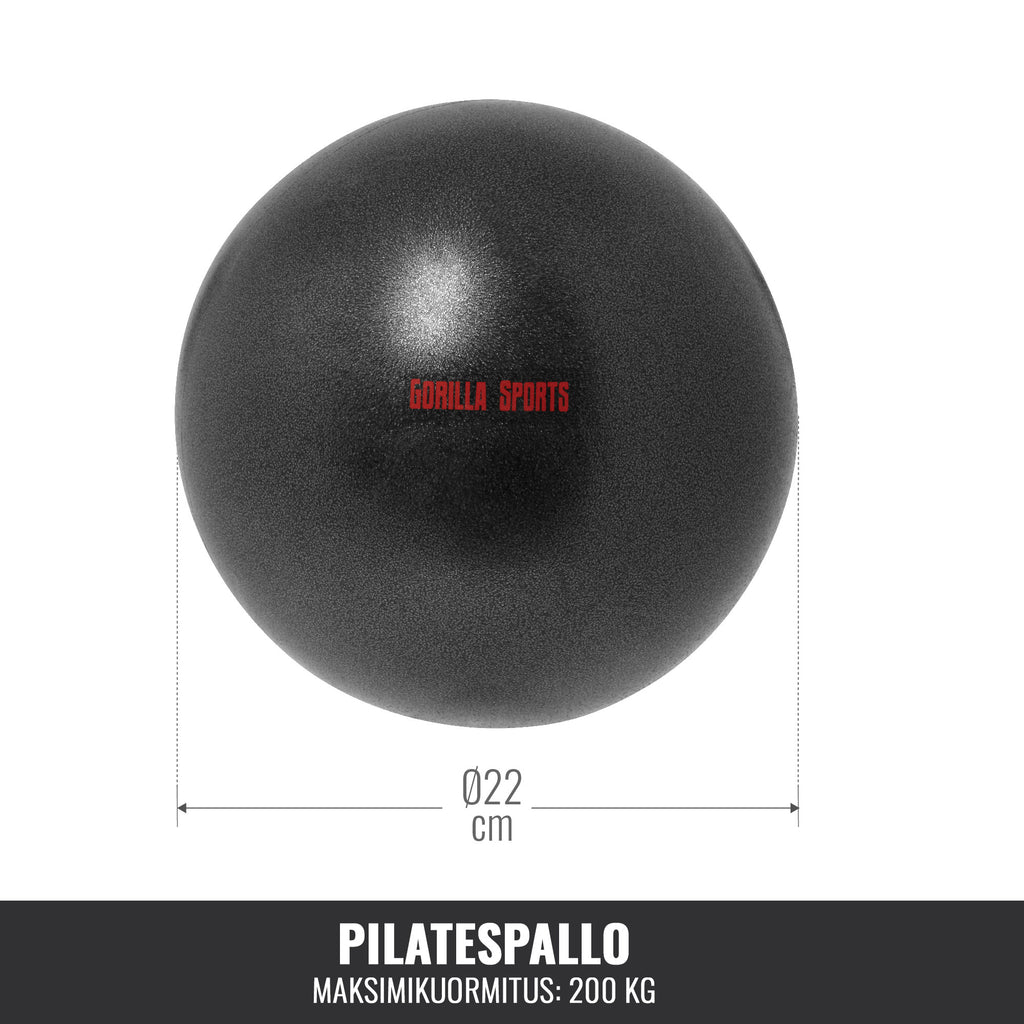Pilateso kamuolys 22 cm su pompa