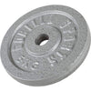 Ketaus svorio diskas 5 kg 30 mm
