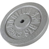 Ketaus svorio diskas 20 kg, 30 mm