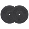 Viniliniai svorių diskai 2 x 15 kg, 30 mm