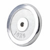 Chromu dengtas svorio diskas 10 kg, 30 mm