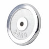 Chromu dengtas svorio diskas 20 kg, 30 mm