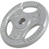 Ketaus svorio diskas su rankenomis 5 kg 30 mm