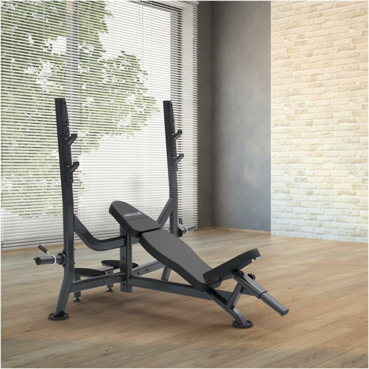 Heavy Duty nuožulnus suolelis su stovu, max 285 kg