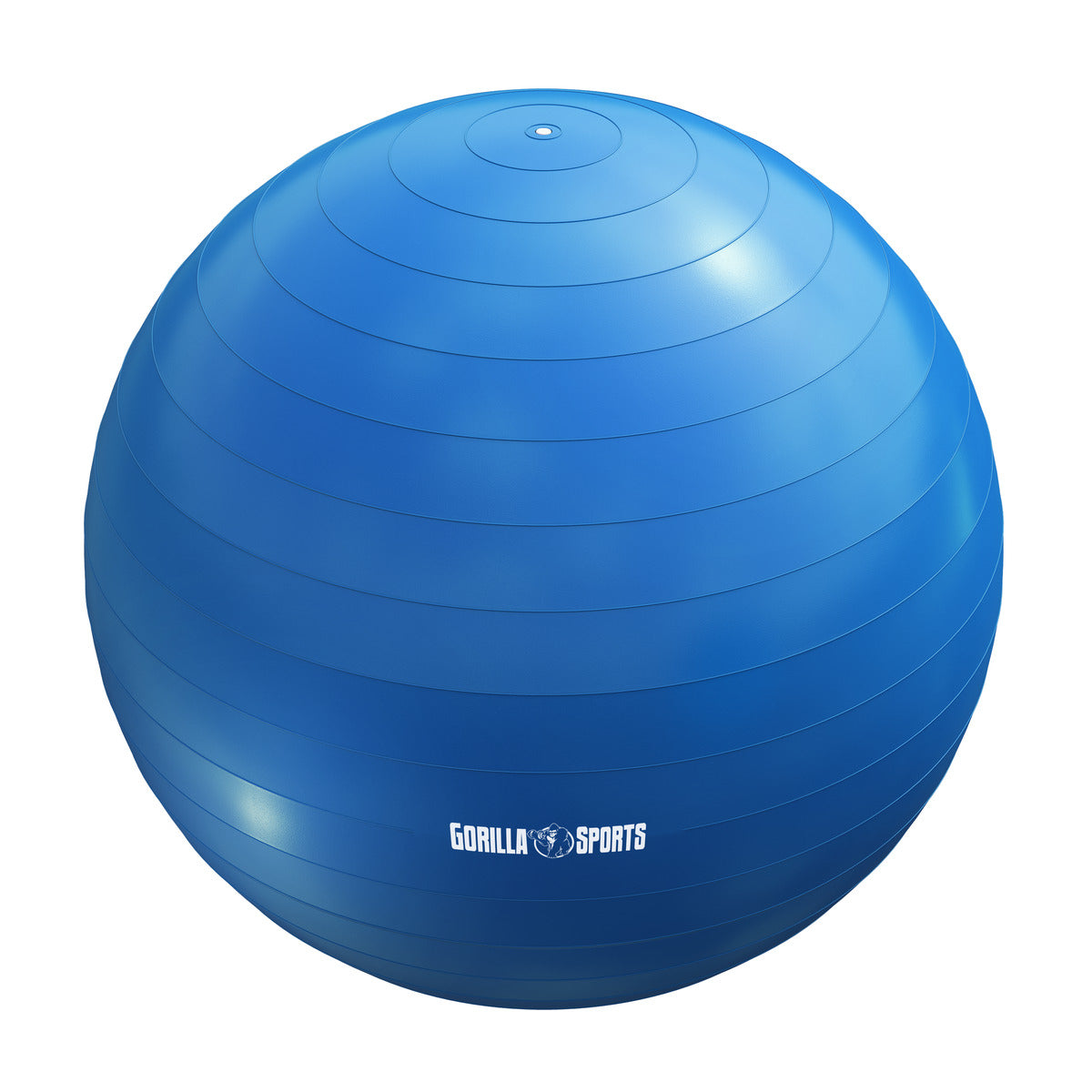 Gimnastikos kamuolys 55 cm su pompa