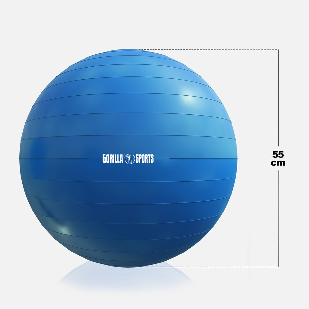 Gimnastikos kamuolys 55 cm su pompa