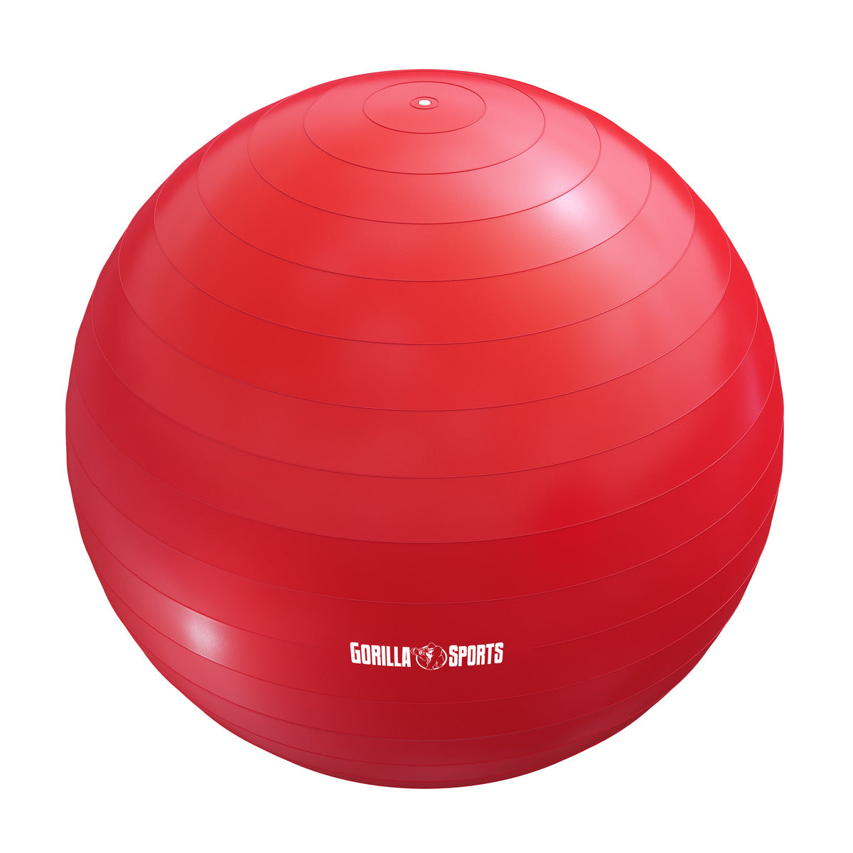 Gimnastikos kamuolys 55 cm su pompa