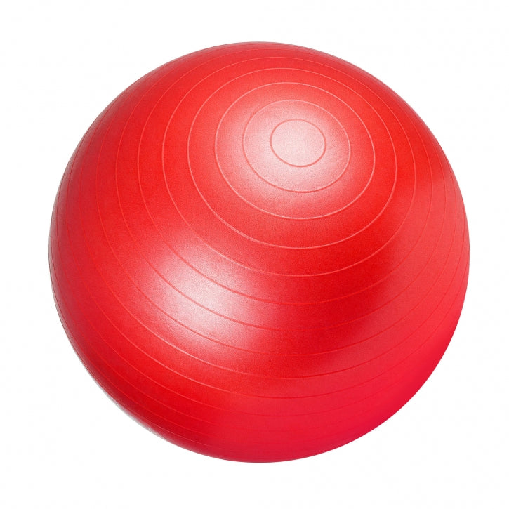 Gimnastikos kamuolys 65 cm su pompa