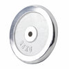 Chromuotas svorių diskas 25 kg 30 mm