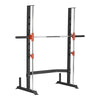 Multipress rack / Smith treniruoklis, max. 300 kg