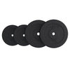Vinilinių svorių diskų rinkinys 30 kg